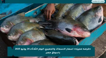 «فرصة مميزة» أسعار الأسماك والجمبري اليوم الثلاثاء 24 يونيو 2025 بأسواق مصر